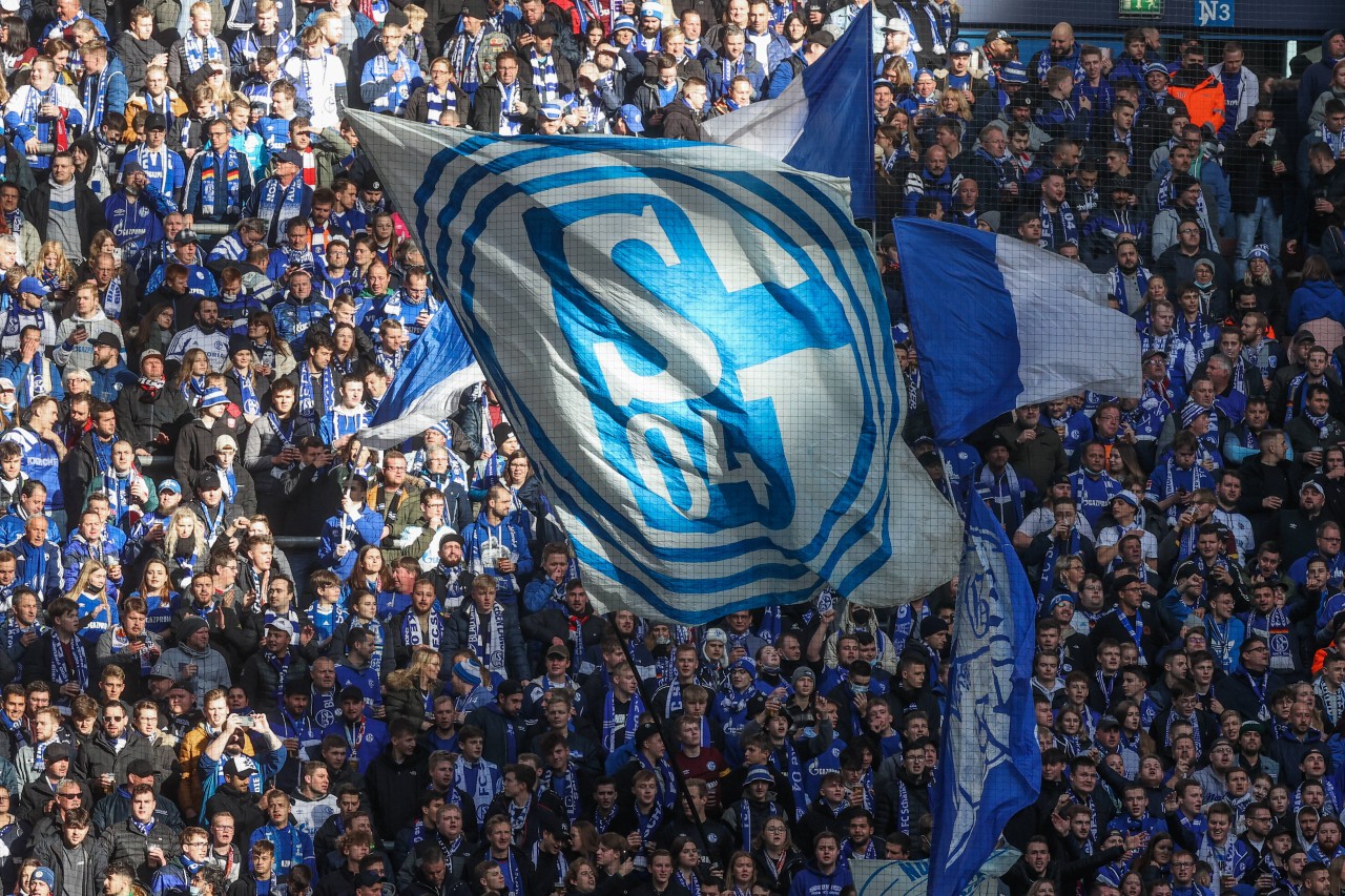 FC Schalke 04: Die Terminierung für die letzten Spieltage steht fest. (Symbolbild)