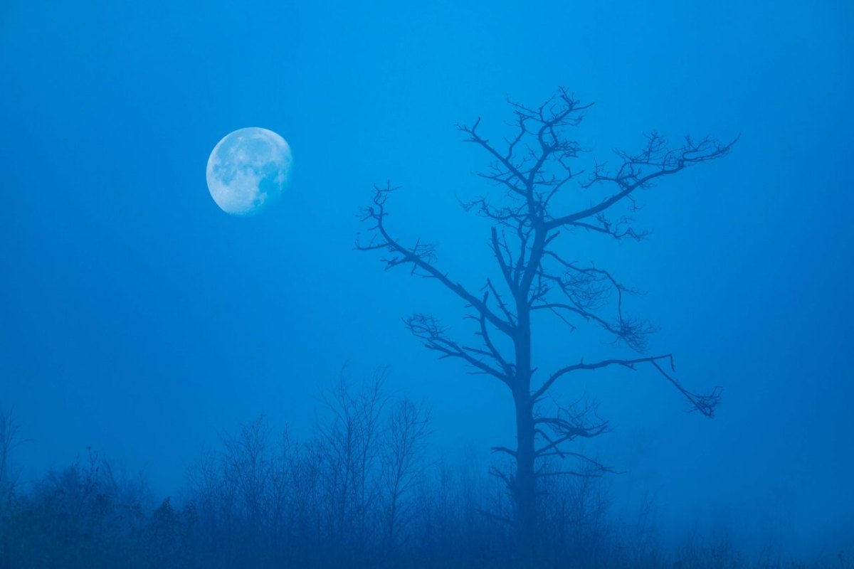 Blue Moon