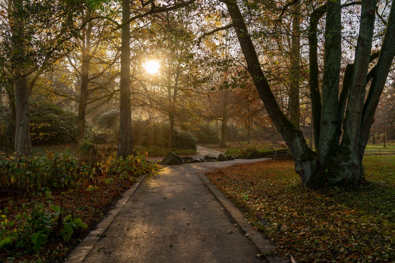 Im Grugapark Essen öffnet eine beliebte Attraktion (Symbolfoto).