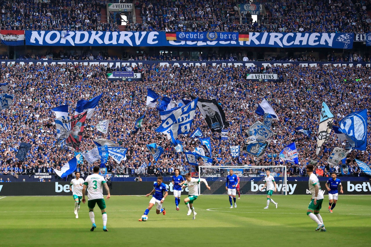 Beim Spiel FC Schalke 04 gegen Werder Bremen konnte der S04 trotz Niederlage die ganze Zeit auf die Fans bauen. 