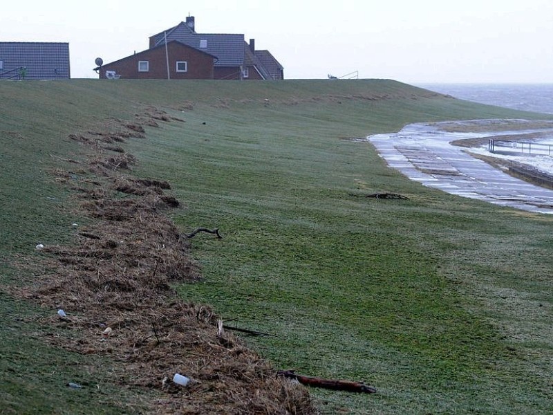 Treibgut am Nordseedeich in Dagebüll - so hoch stand das Wasser hier.