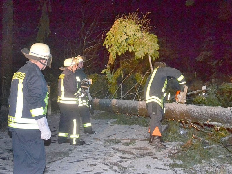 Bei einem nächtlichen Einsatz mussten die Kameraden der Feuerwehr-Löschgruppe Alertshausen umgestürzte Fichten auf der Kreissstraße 40 bei Christianseck am Rothaarsteig beseitigen.