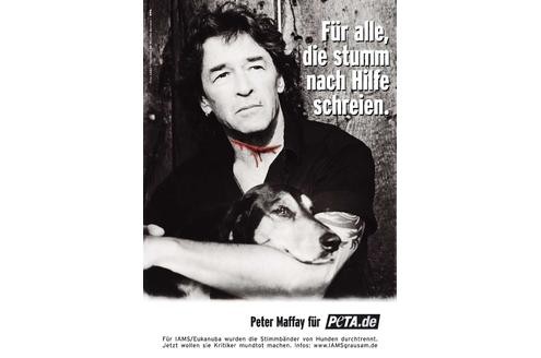 Peter Maffay setzt sich für die ein, deren Hilfeschreie keiner hört.

© GABO