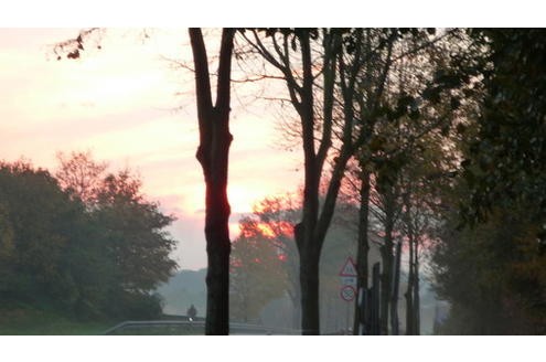 Herbstlicher Sonnenuntergang. Foto: Anna-von-Gladbeck