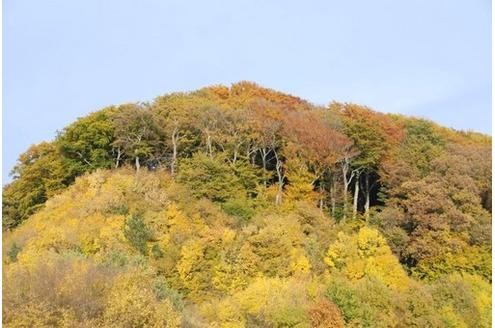 Herbst in der Community. Foto: richt.oldi 