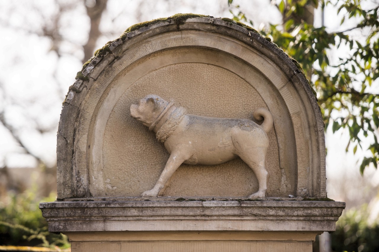 Das Mopsdenkmal von Winnenden: Der in Stein gehauene Hund des Herzogs Karl Alexander soll einer Legende nach während der Schlacht um Belgrad im Jahre 1717 im Kampf gegen die osmanischen Truppen sein Herrchen verloren haben und allein zum Schloss Winnental zurückgelaufen sein.