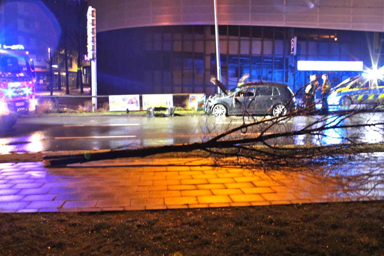 Durch die Wucht des Aufpralls fällte der Autofahrer gleich den ganzen Baum.