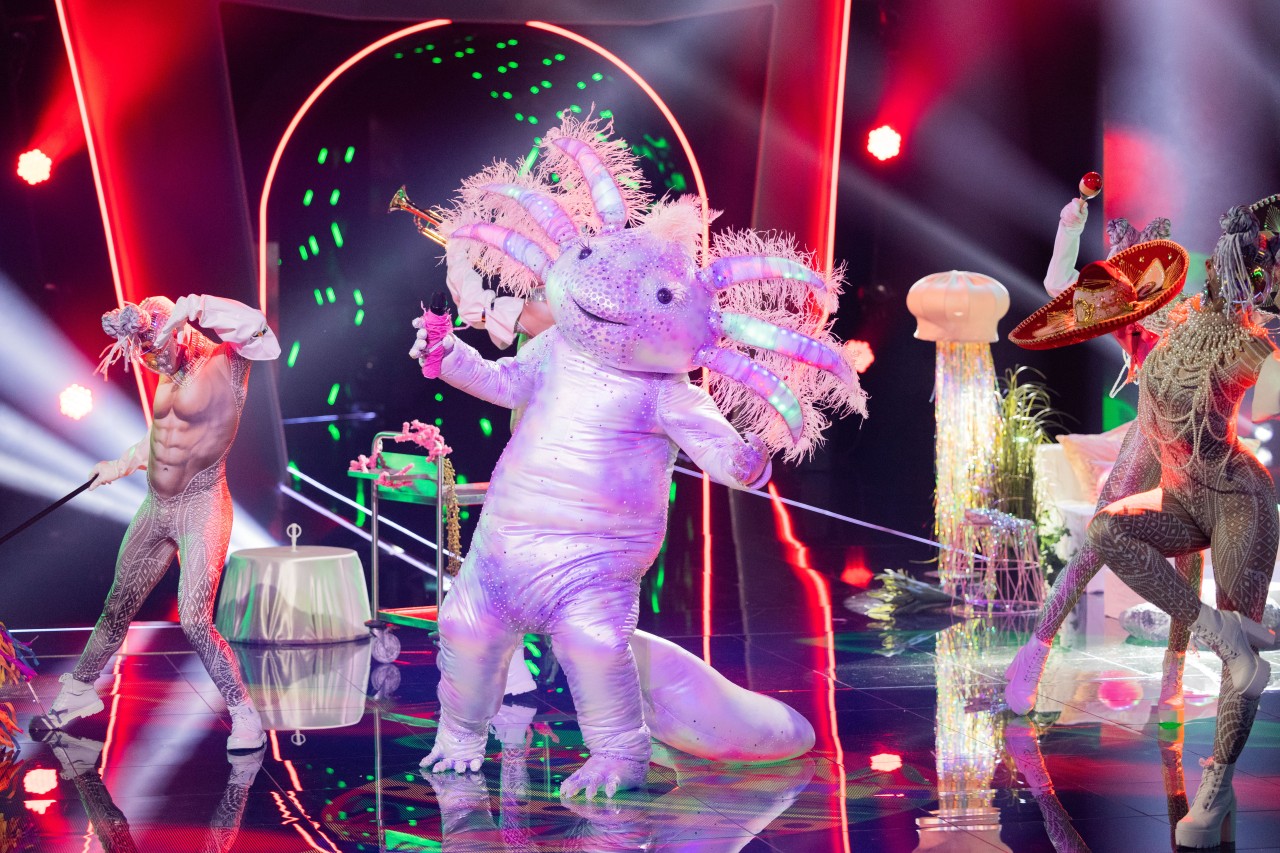 Das Axolotl bei The Masked Singer.