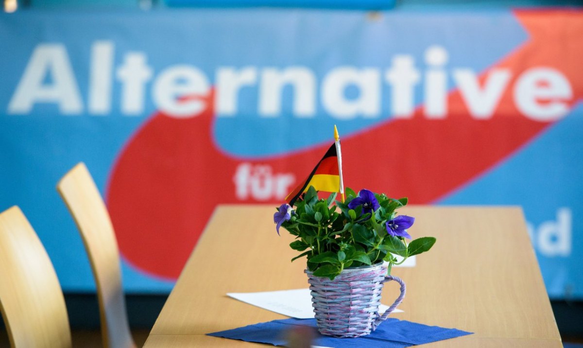 AfD.jpg