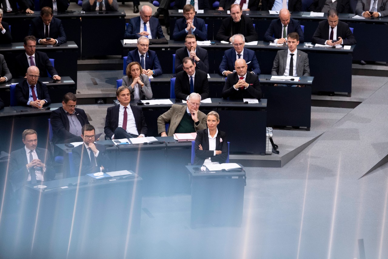 AfD im Bundestag: Mit nur einem Satz stellt SPD-Politiker die Fraktion bloß (Symbolbild). 