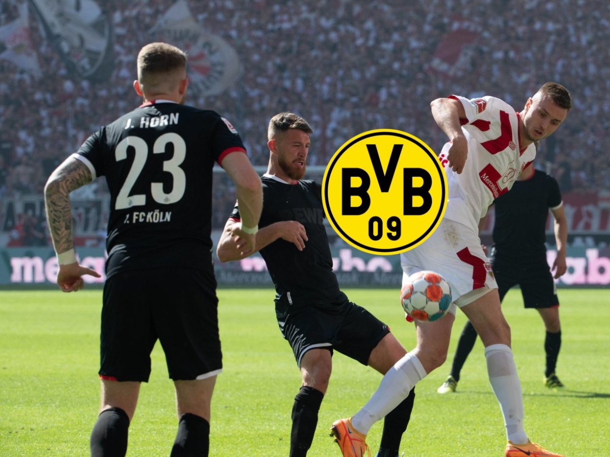Borussia Dortmund Özcan.jpg