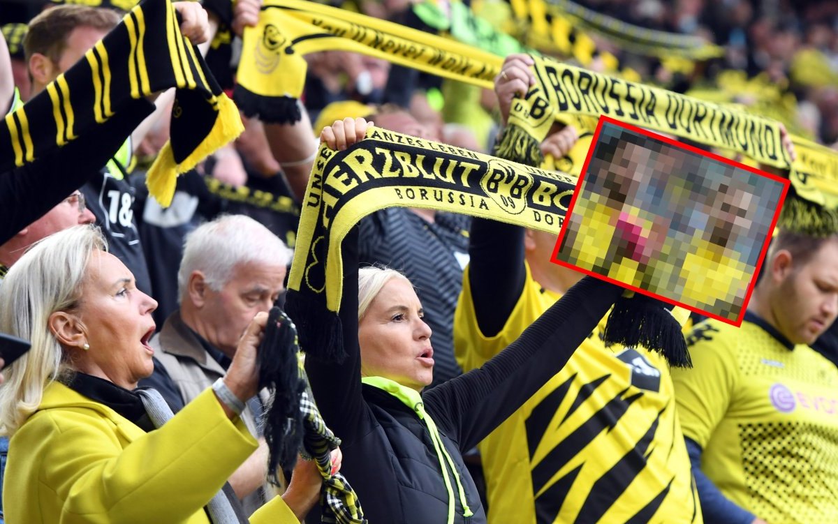 Borussia Dortmund Schmelzer Sahin.jpg