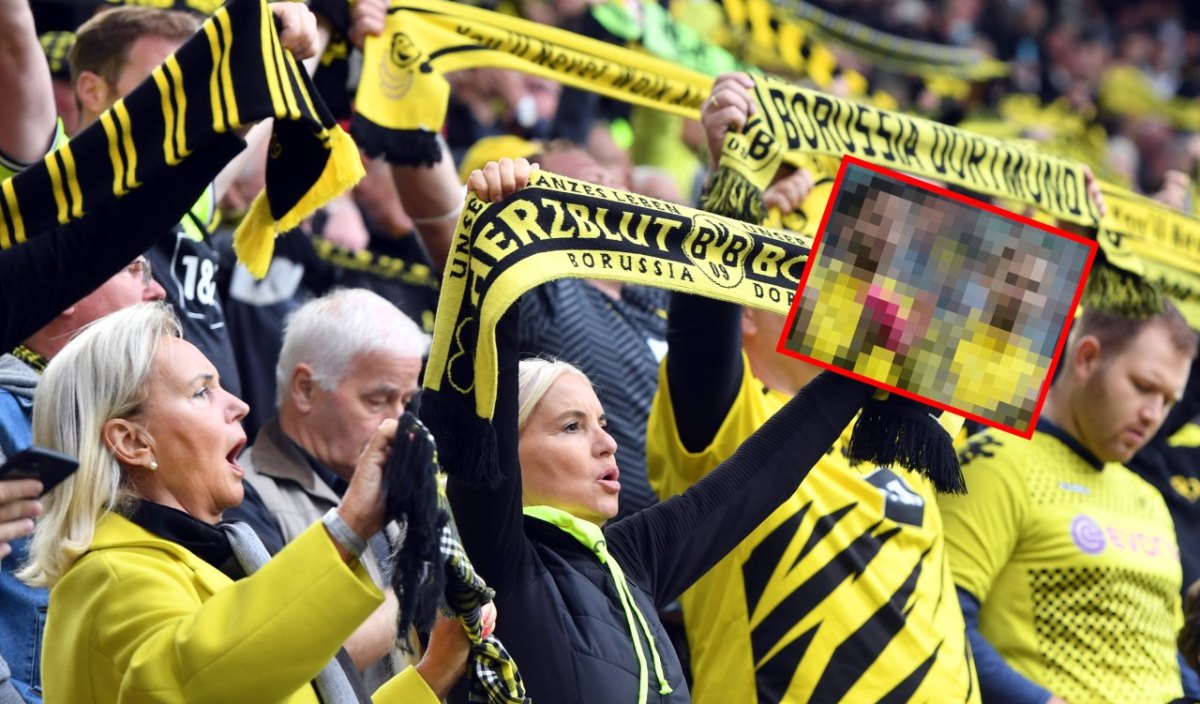 Borussia Dortmund Schmelzer Sahin.jpg