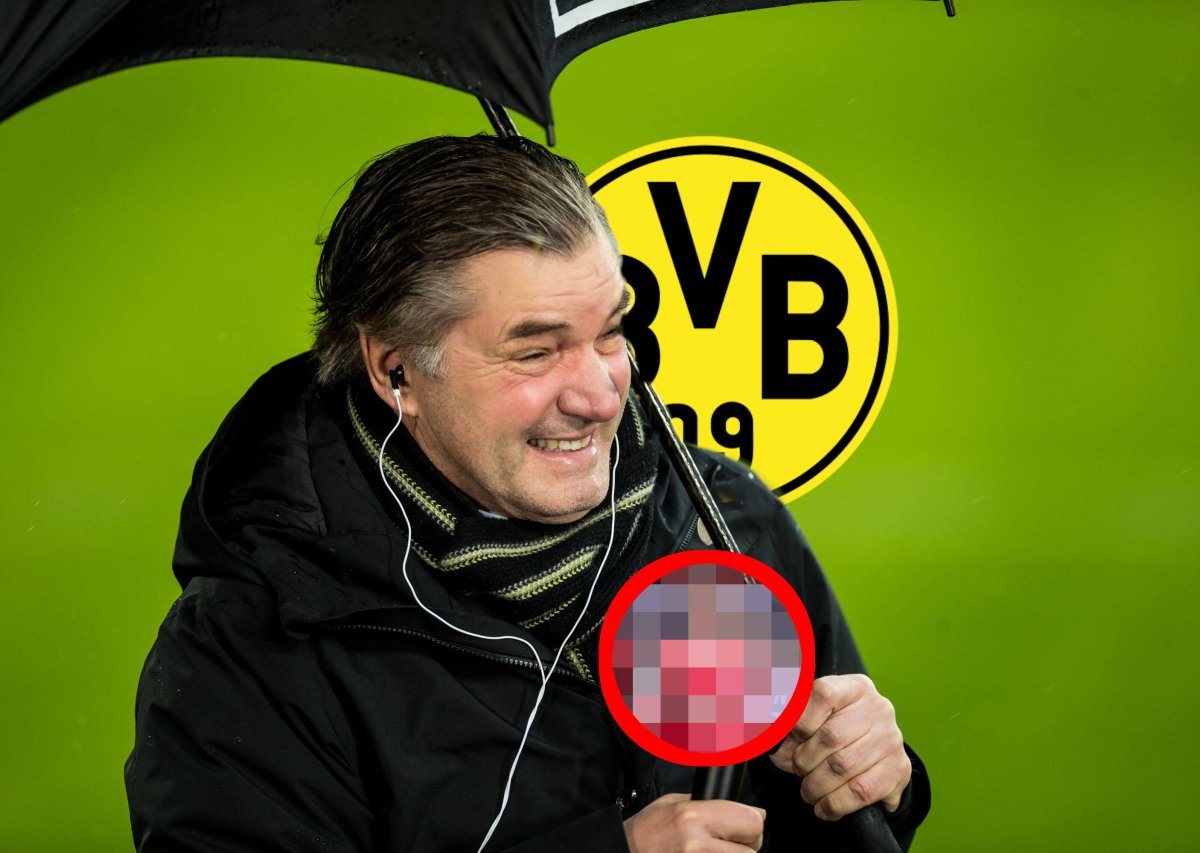 Borussia-Dortmund-Talent