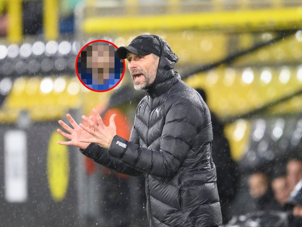 Borussia Dortmund Werner.jpg