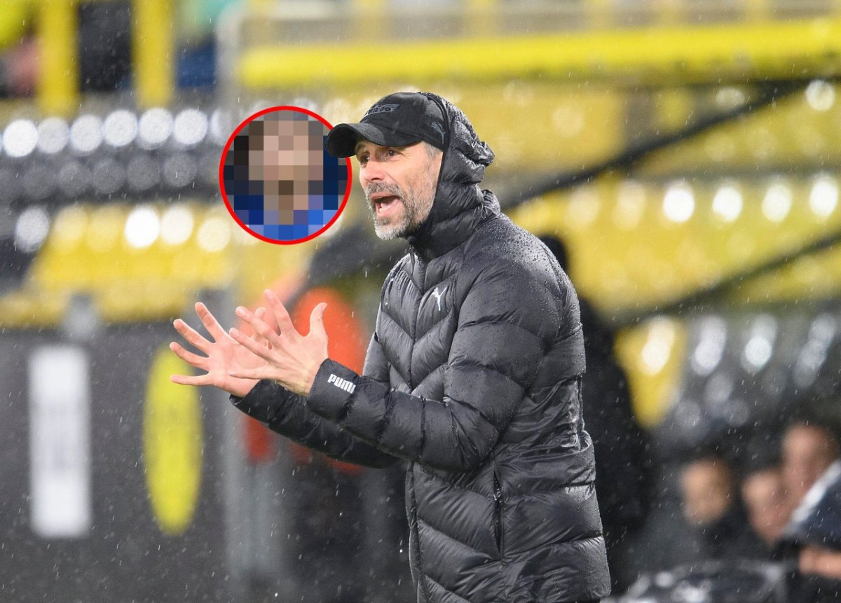 Borussia Dortmund Werner.jpg