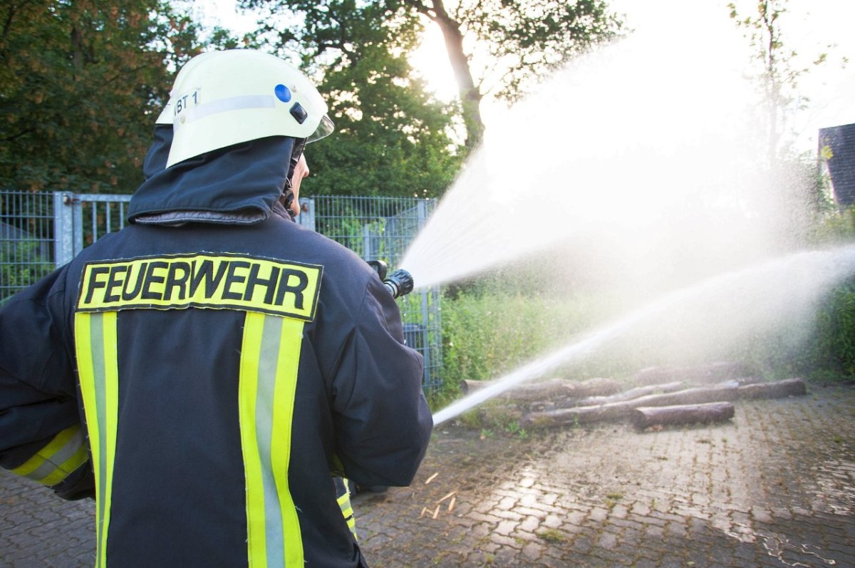 Die Freiwillige Feuerwehr rückt zu.jpg