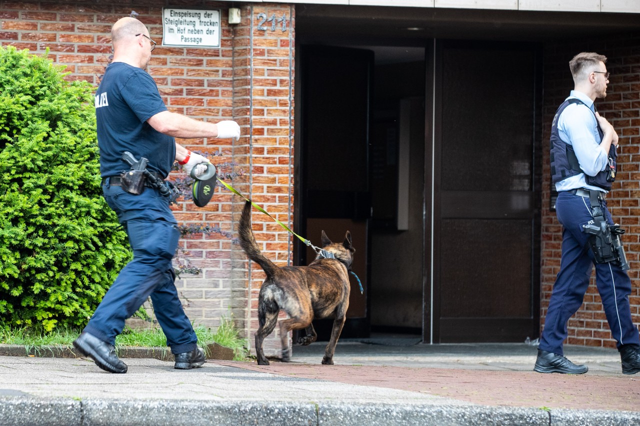 Essen: Bei dem Einsatz kam auch ein Sprengstoffspürhund zum Einsatz. 