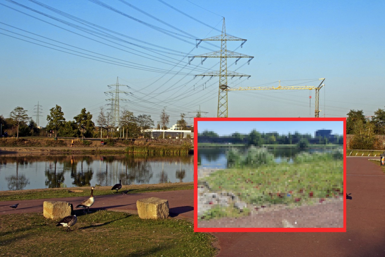 Essen: Eine eigentlich romantische Geste im Krupp-Park sorgt für Ärger.