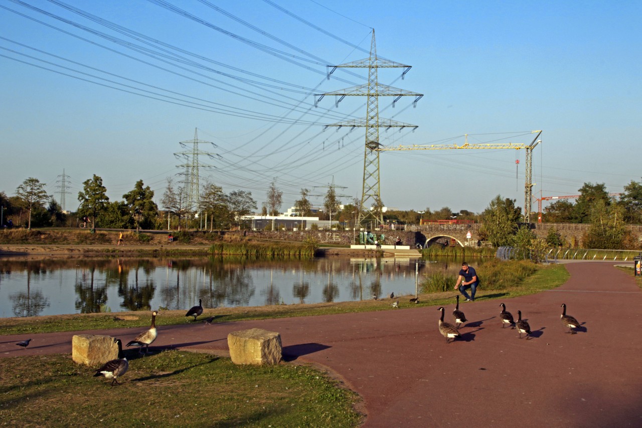 Essen hat ein Problem – und damit steht die Stadt in NRW nicht alleine da! (Symbolbild) 