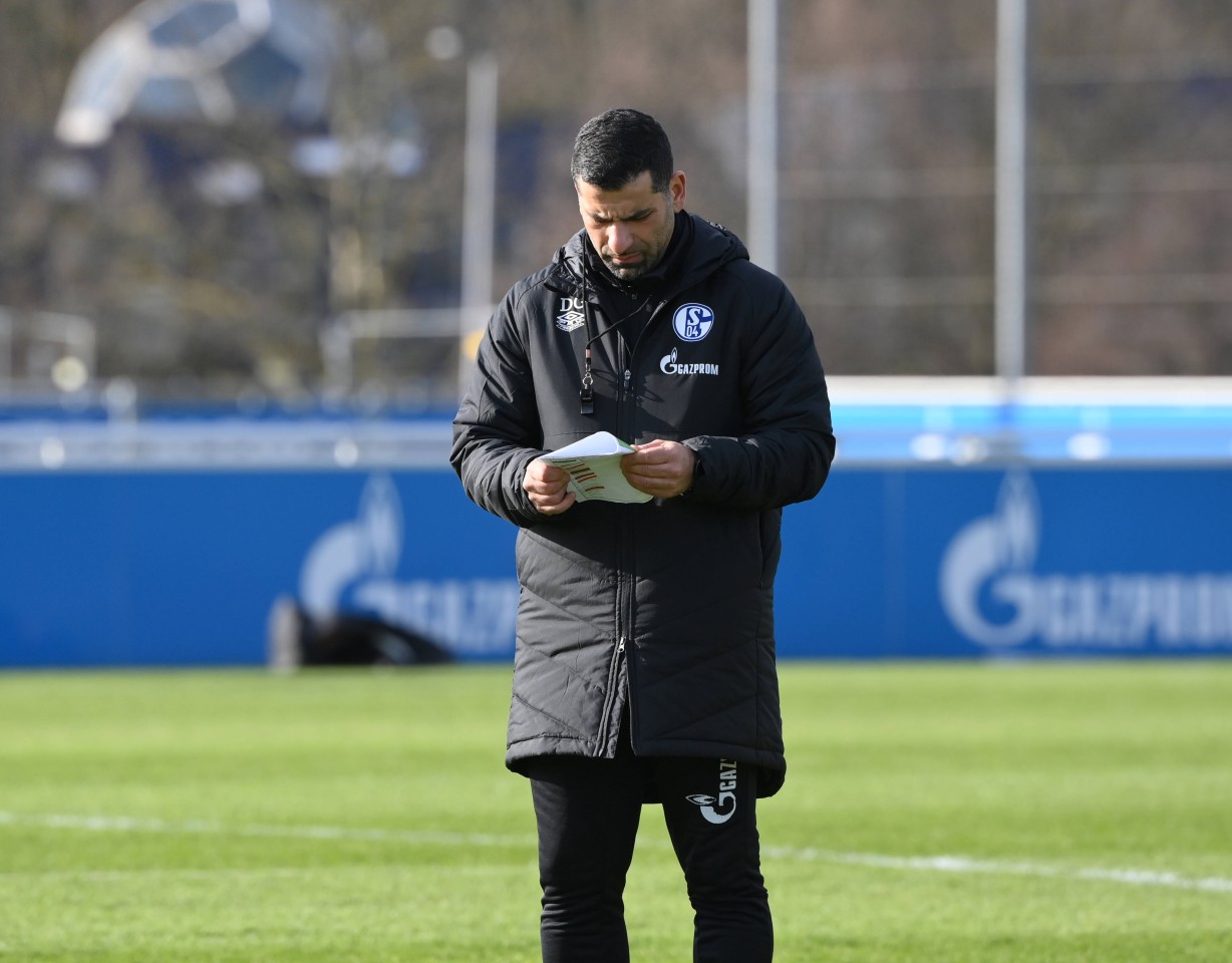 FC Schalke 04: Wird Dimitrios Grammozis gegen den SC Paderborn wieder experimentieren?