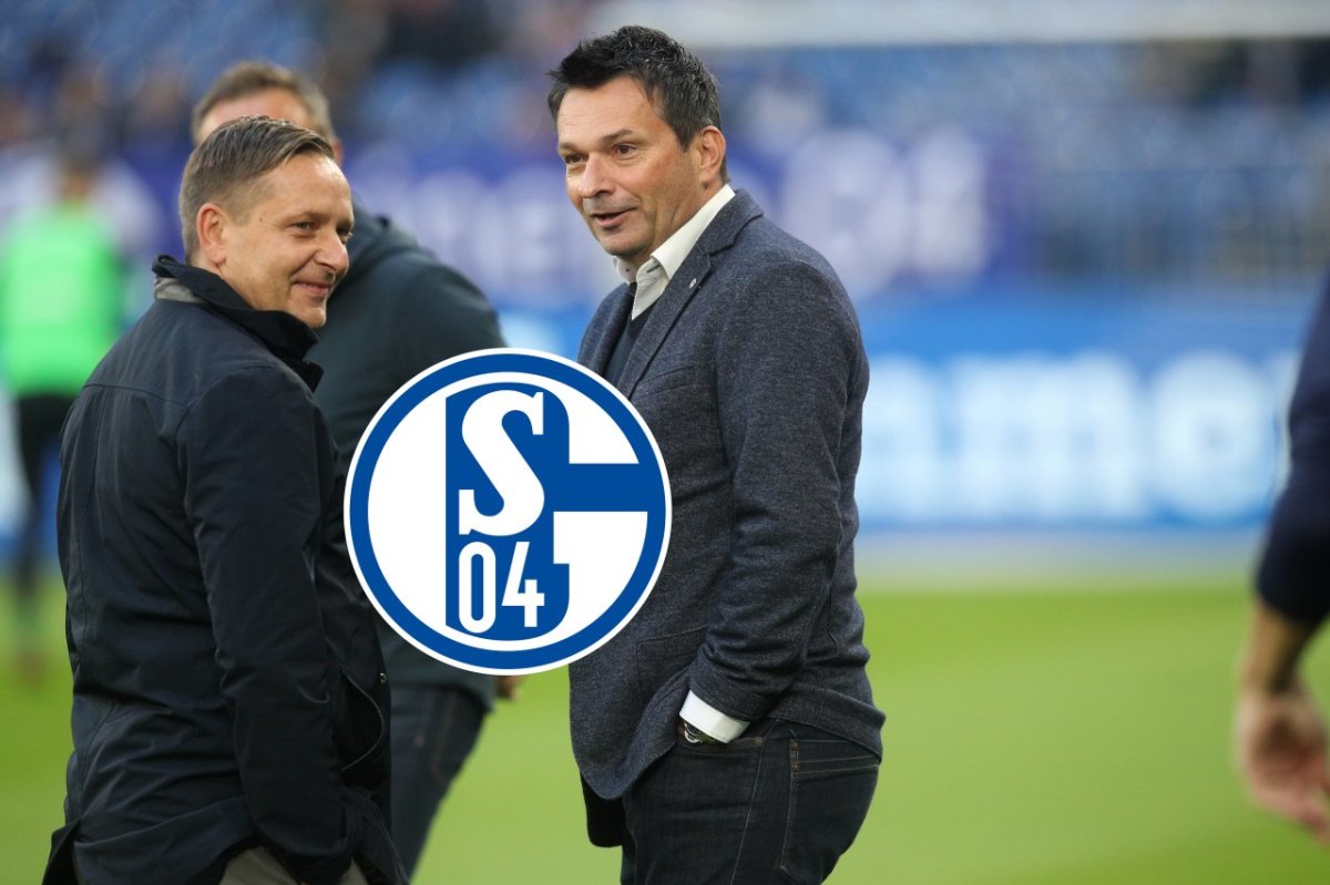 FC-Schalke-04-Heldt-Heidel