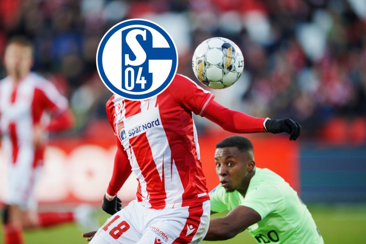 FC Schalke 04 Louka Prip.jpg