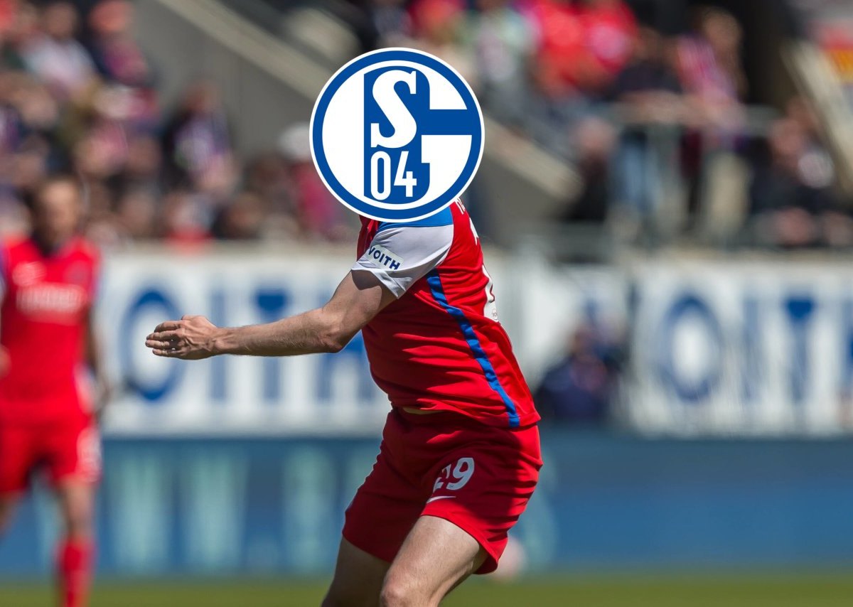FC Schalke 04 Mohr.jpg