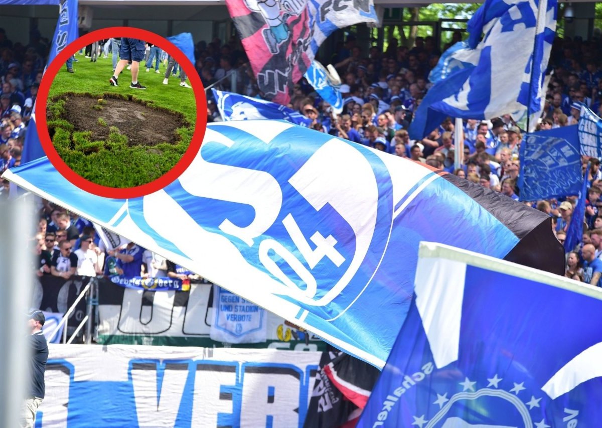 FC Schalke 04 rasen.jpg