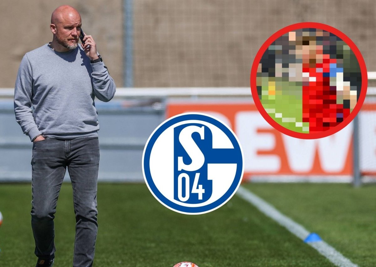 FC Schalke Mohr.jpg