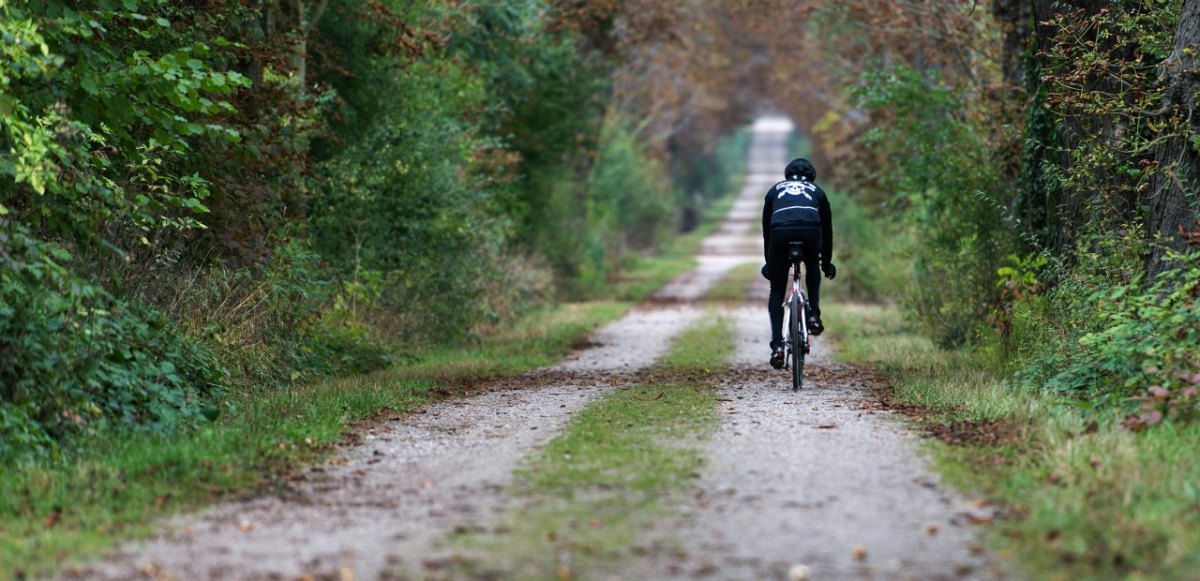 Fahrradtour Wald.jpg