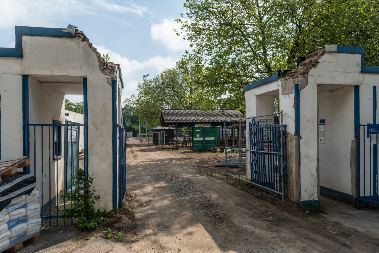 Gelsenkirchen bekommt einen neuen Sportplatz. Dank Ilkay Gündogan.