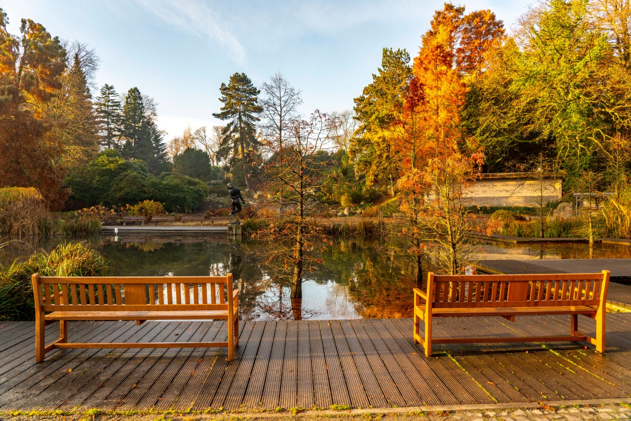 So einen Anblick können Sonnaufgang- und Sonnenuntergangfans bald im Grupark Essen genießen. (Archivbild)