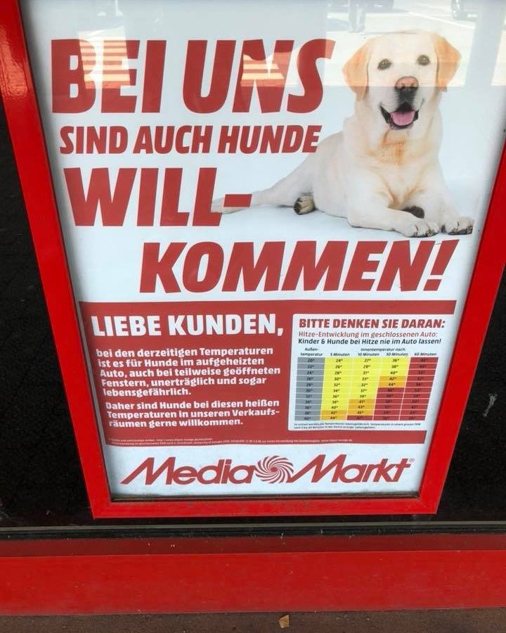 Hunde-Media-Markt-Mülheim