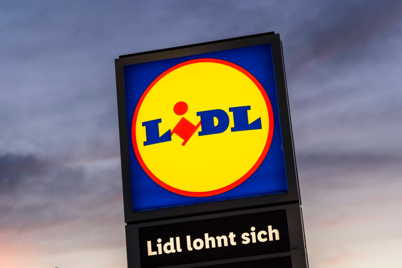 Lidl muss sich erklären, weil eine Rollstuhlfahrerin ihren Hund nicht in die Filiale nehmen durfte. (Archivfoto)