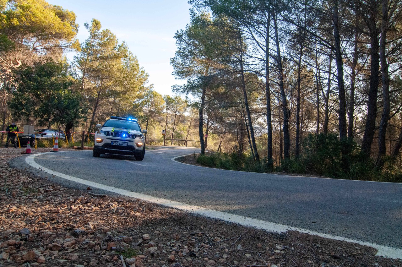 Mallorca: Die Guardia Civil konnte die Frau festnehmen. (Symbolbild)