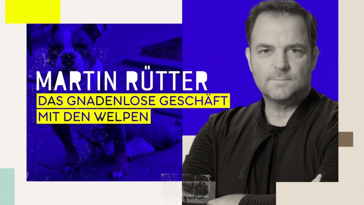 Martin Rütter.jpg