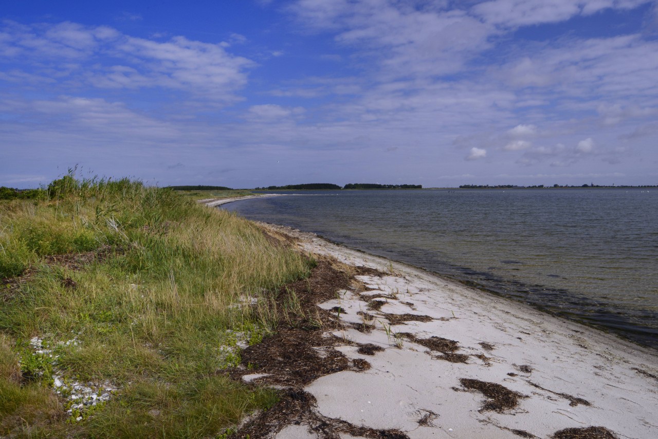 Urlaub an der Ostsee: Ein Mann machte eine unglaubliche Entdeckung (Symbolfoto).