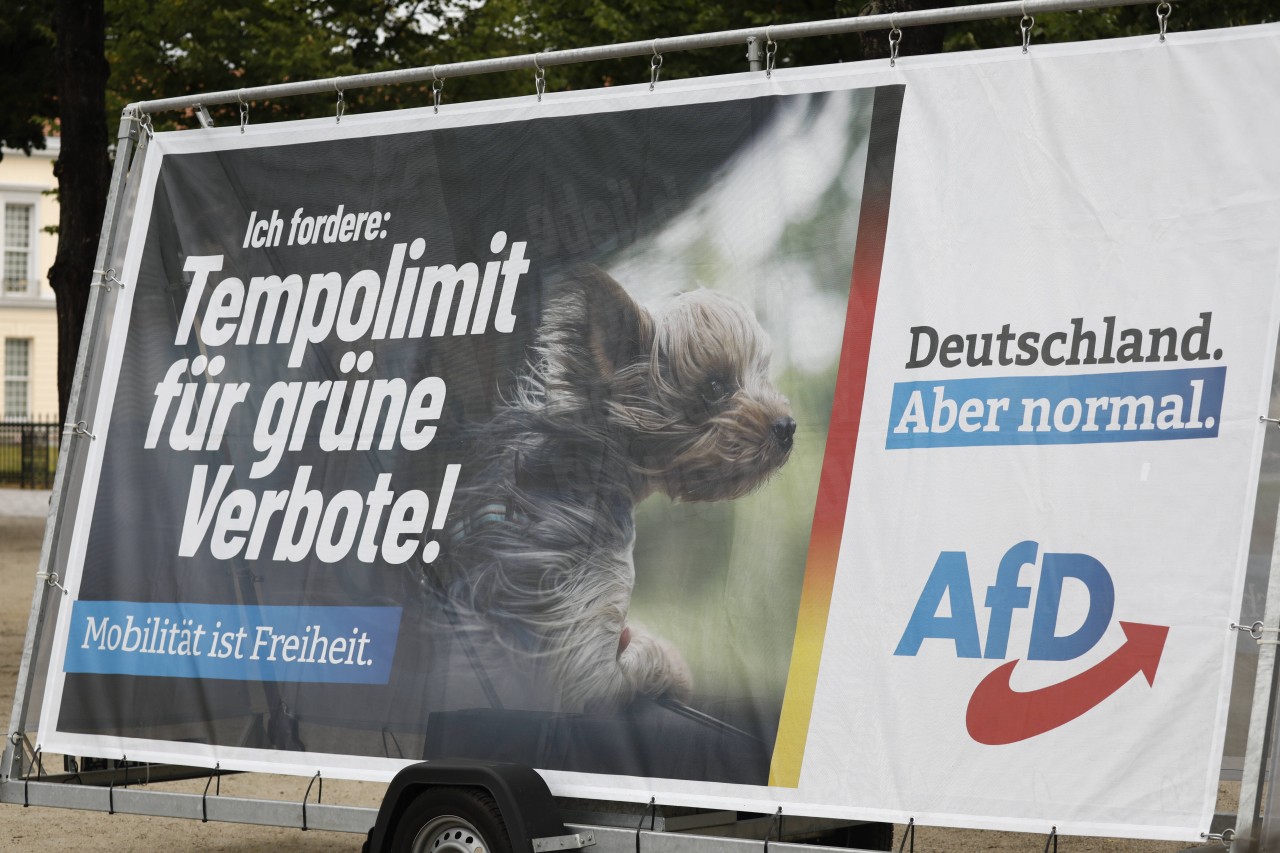 Bundestagswahl in Mülheim: Die AfD hat sehr unterschiedliche Ergebnisse in den Wahlbezirken eingefahren. (Symbolbild)