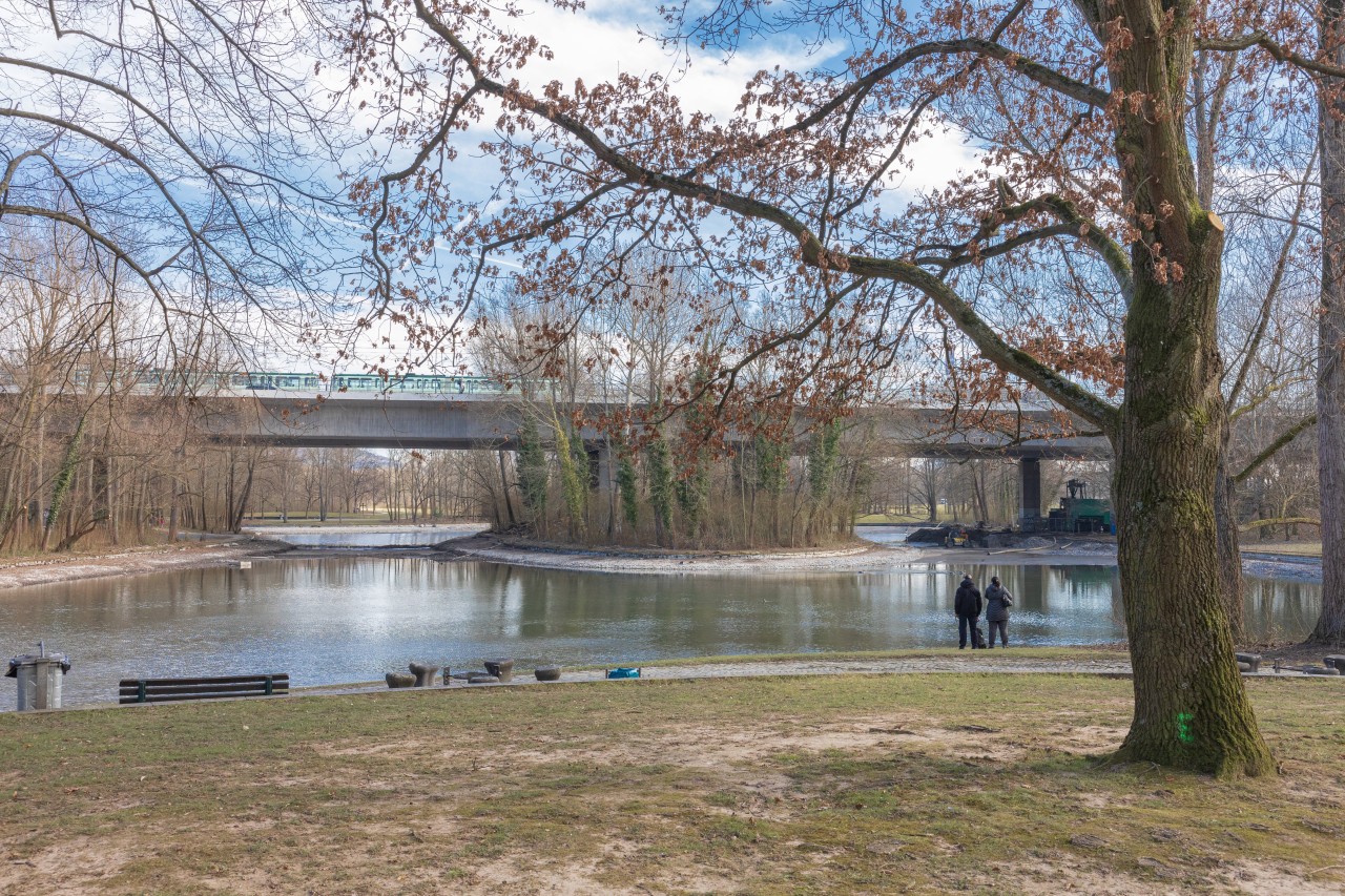 In Bonn (NRW) wird der Rheinauensee saniert mit verheerenden Konsequenzen für einige Tiere. (Archivbild)