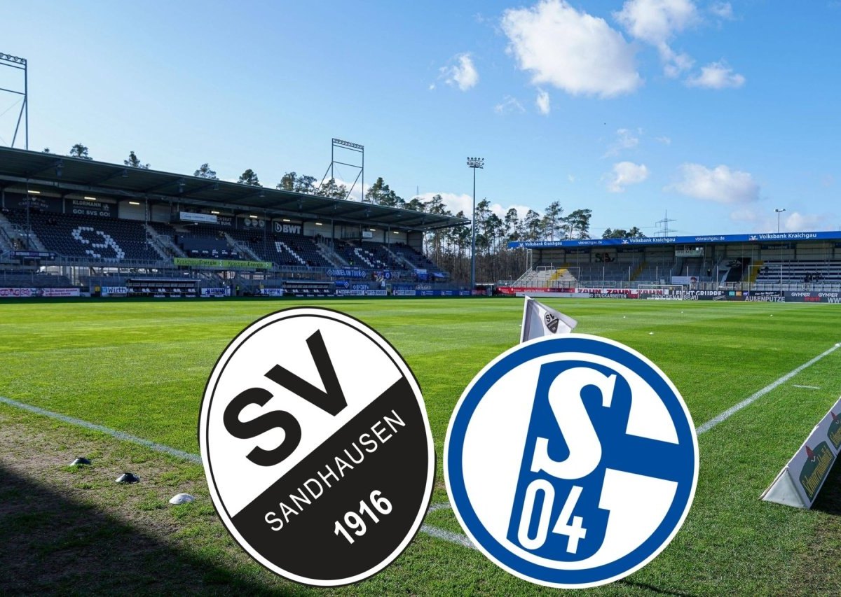 SV Sandhausen Schalke.jpg