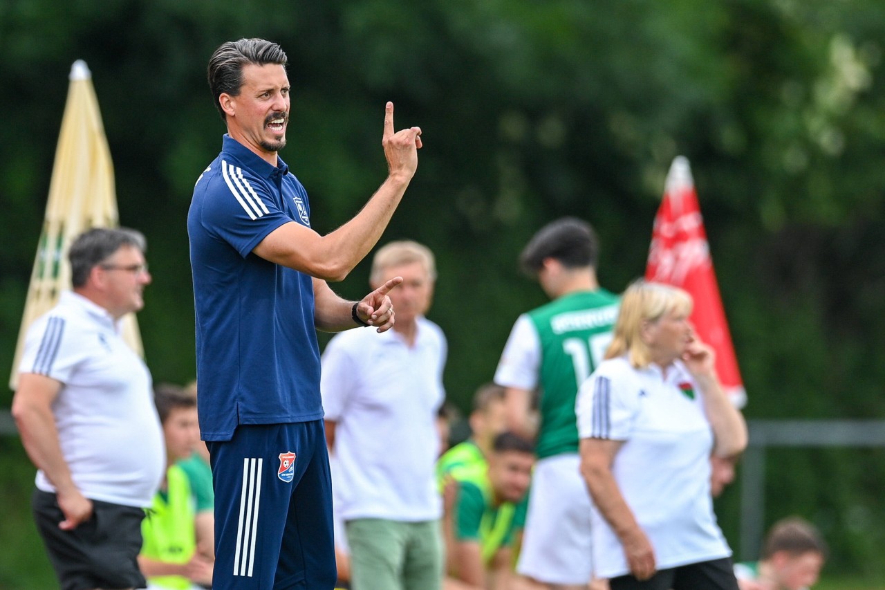 Sportstudio-Experte Sandro Wagner hat neuen Job vor Augen.