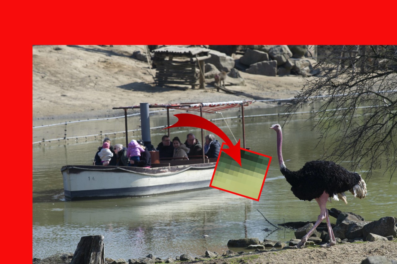 Zoom Gelsenkirchen: Ein Besucher macht im Wasser eine erschreckende Entdeckung. (Symbolbild)