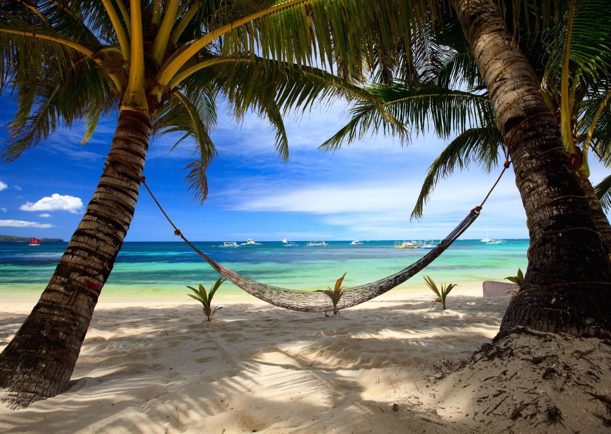Strand urlaub palmen meer.jpg
