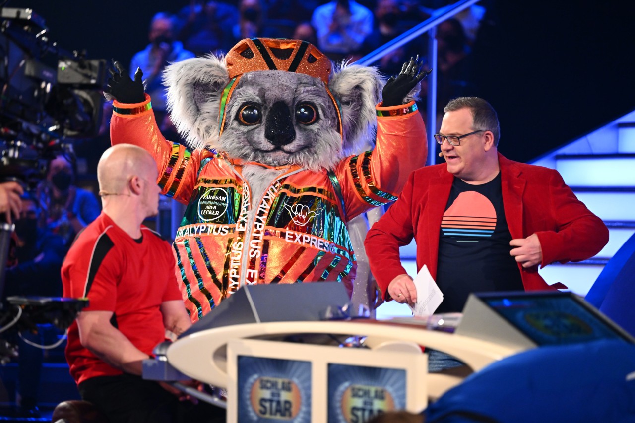 Der Koala zeigt sich erstmals vor laufender Kamera bei „Schlag den Star“.