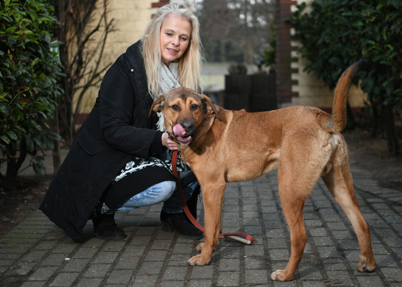 Norma Puchstein ist 1. Vorsitzende im Tierheim Duisburg.