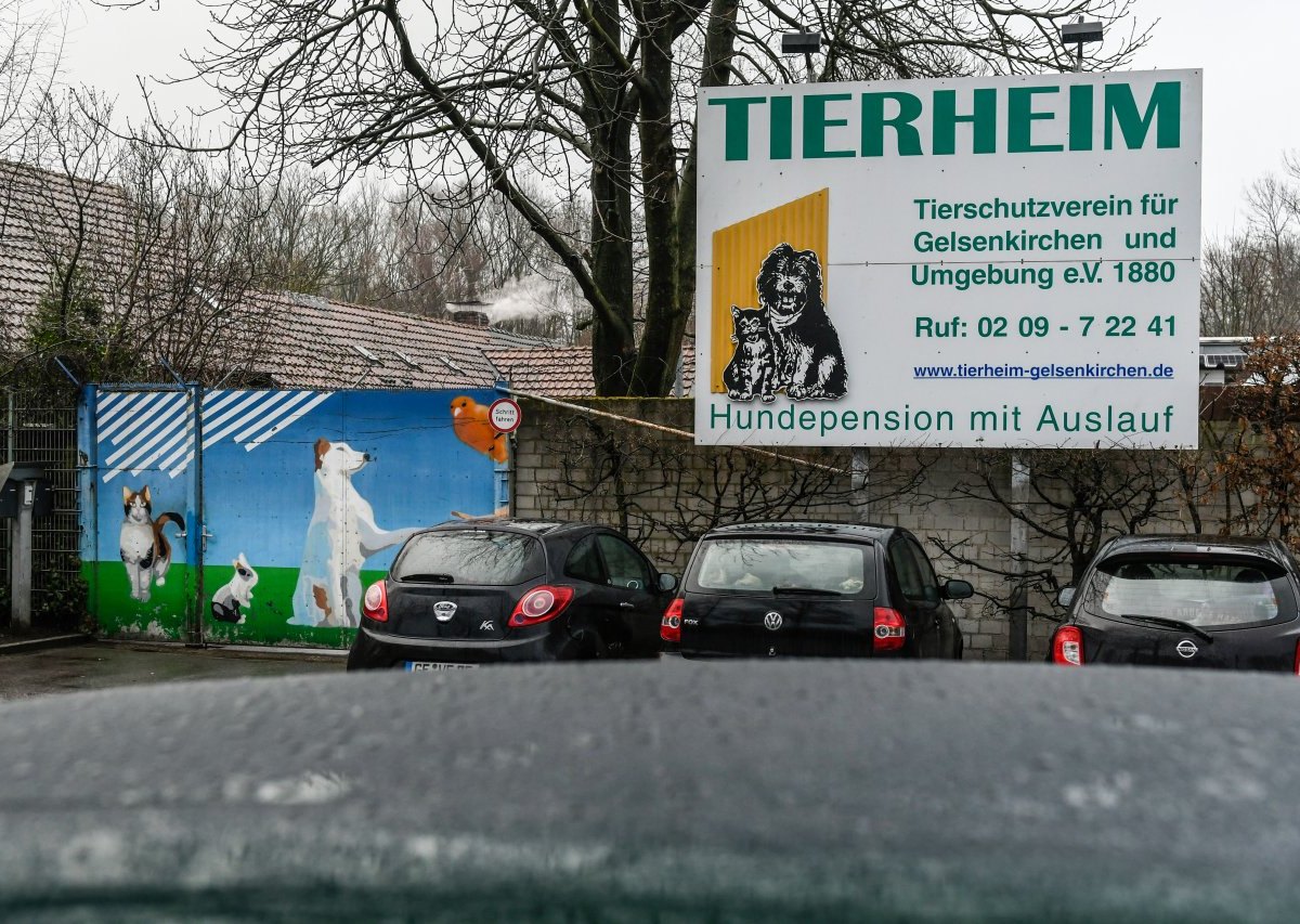 Tierheim-Gelsenkirchen.JPG