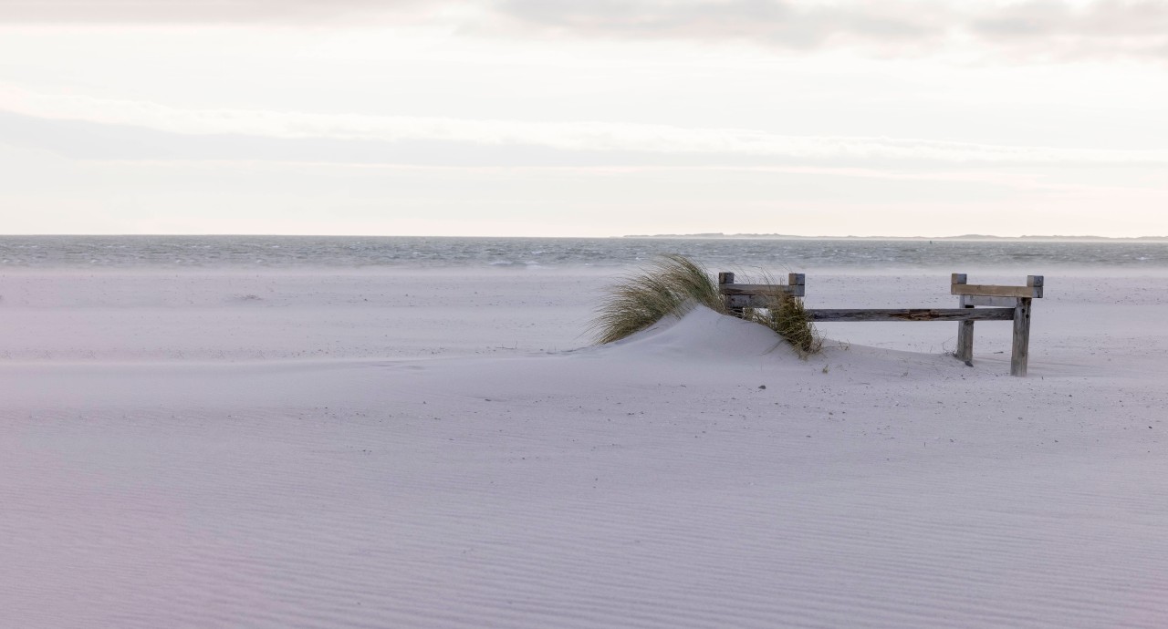 Urlaub an der Nordsee: Ein Mann nahm etwas spezielles mit nach Hause. (Symbolbild)