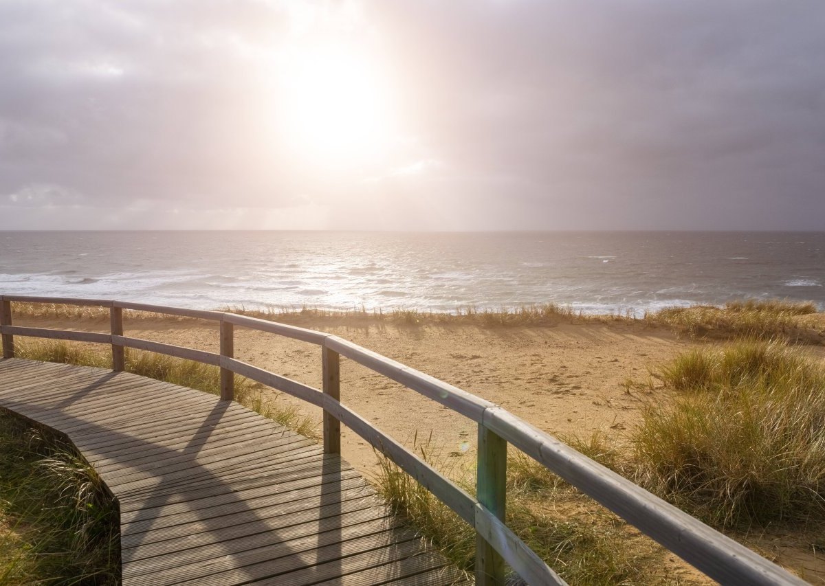 Urlaub an der Nordsee: Frau kommt nach Sylt – es stellt ihr Leben auf den Kopf