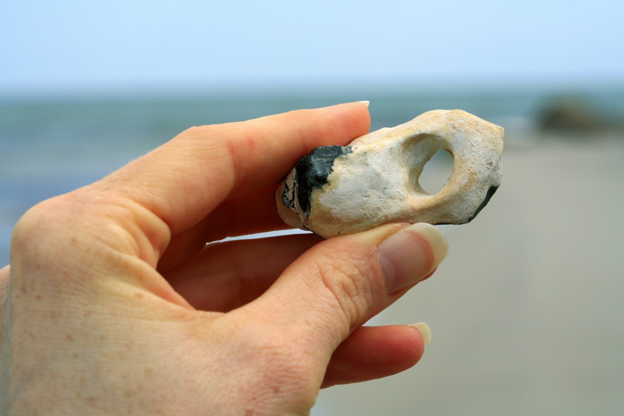 Urlaub an der Ostsee: Hühnergötter werden nicht oft an Land gespült. 